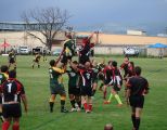 lvc07.jpg